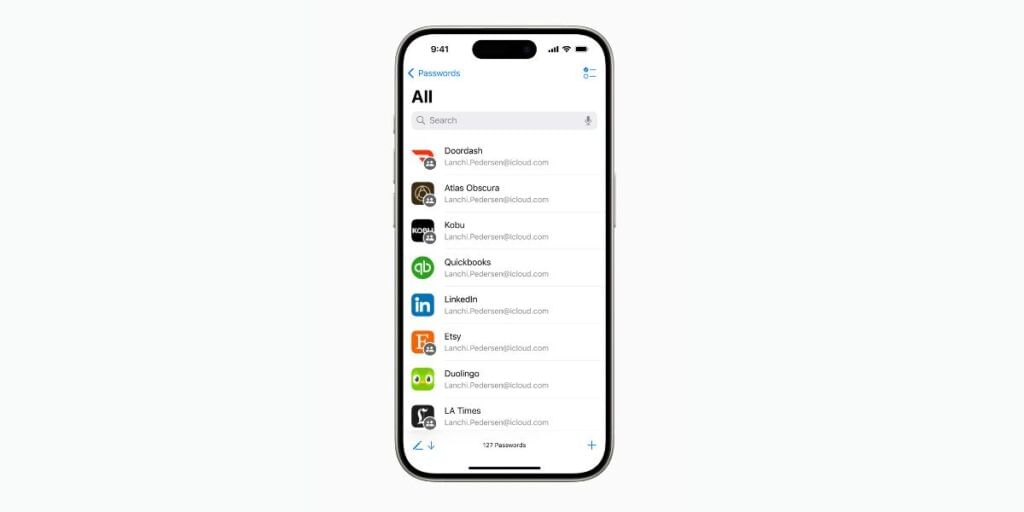 iOS 18 Changes- Passwords