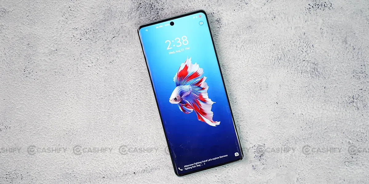 Vivo V40 Display