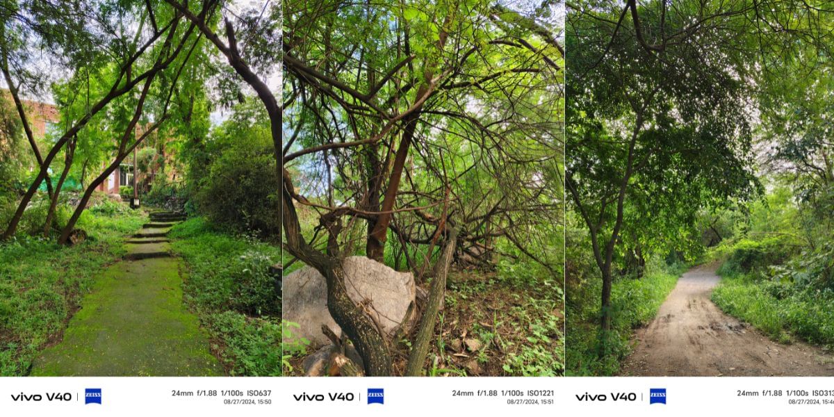 Vivo V40 Camera sample