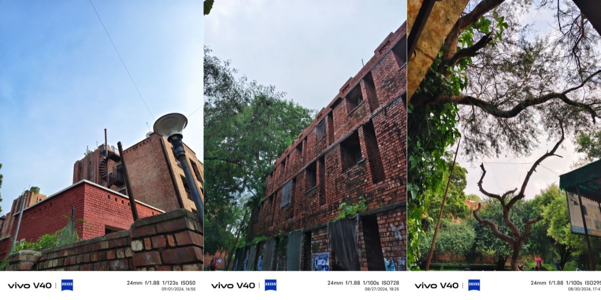 Vivo V40 Camera sample