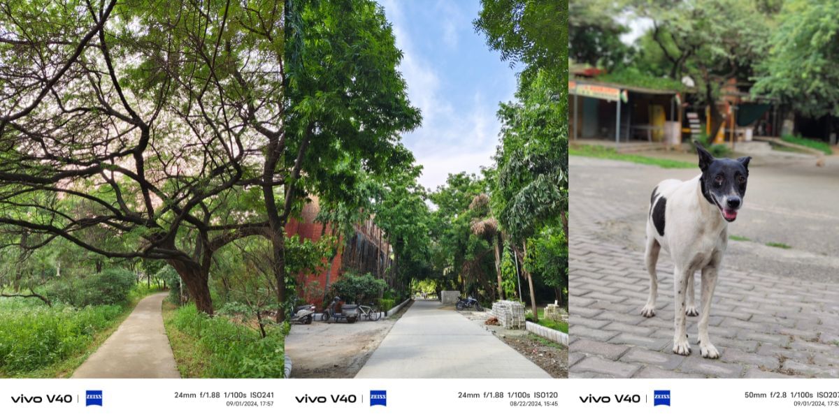 Vivo V40 Camera sample