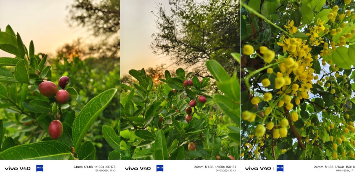 Vivo V40 Camera sample