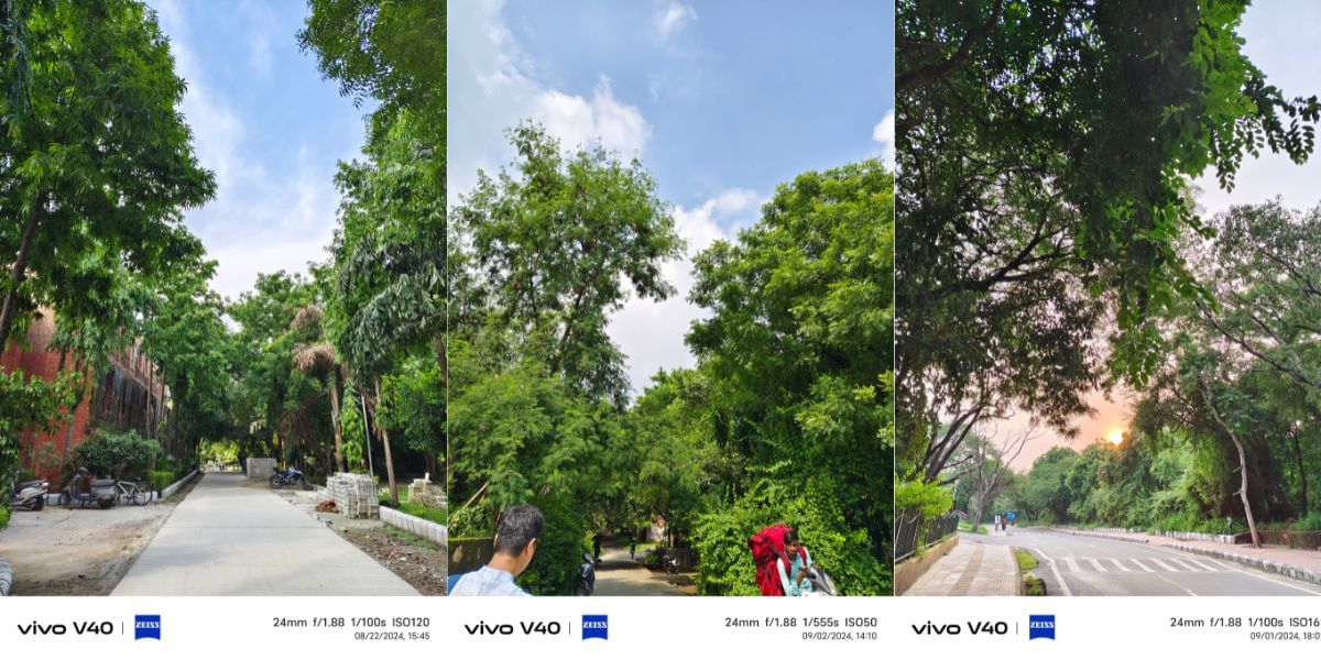Vivo V40 Camera sample