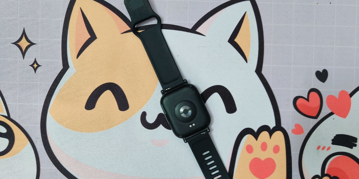 Ports And Placements