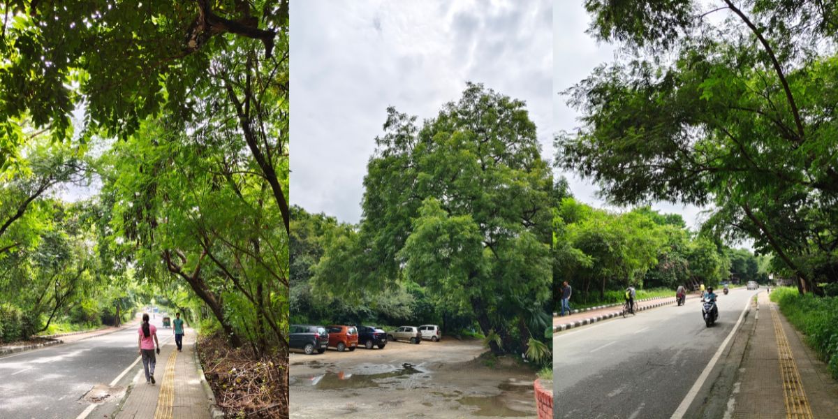 Vivo T3 Pro camera sample