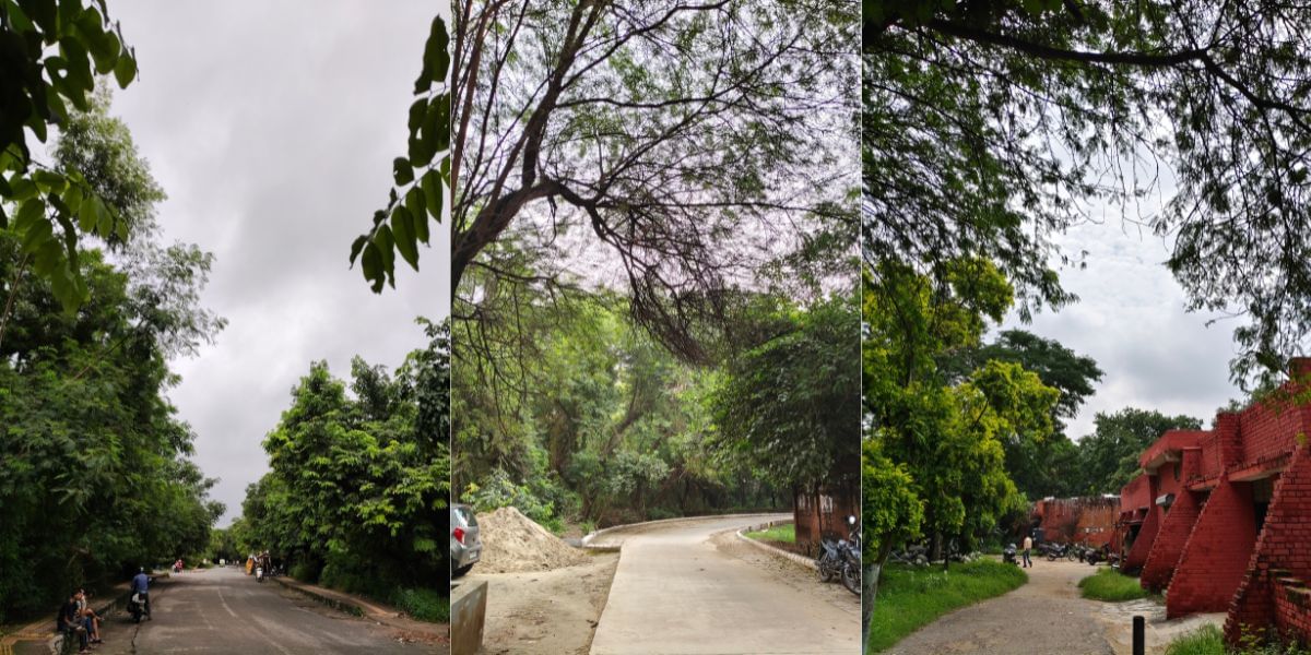 Vivo T3 Pro camera sample