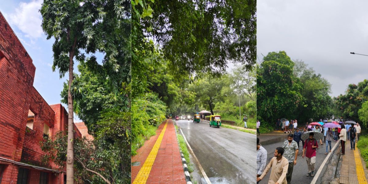 Vivo T3 Pro camera sample