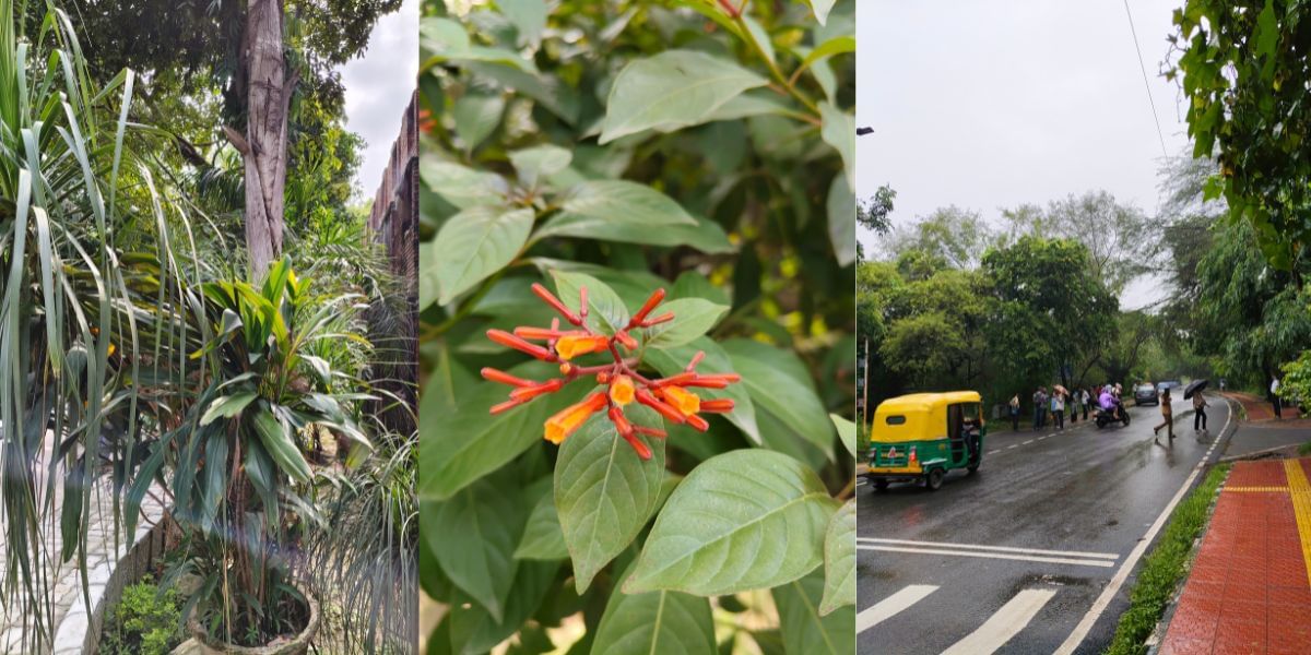 Vivo T3 Pro camera sample