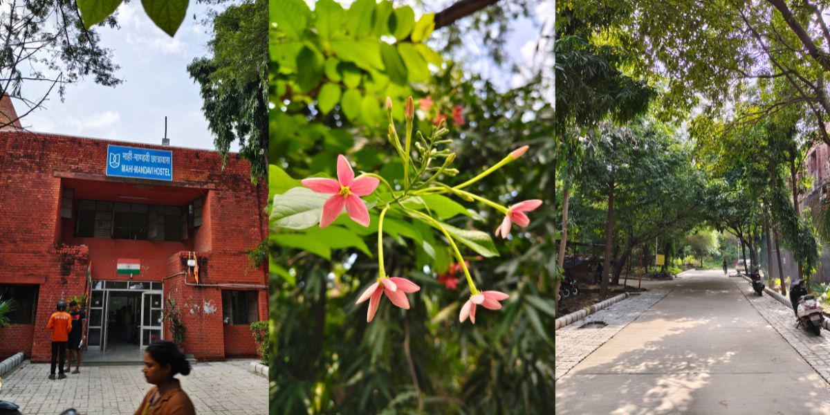 Vivo T3 Pro camera sample