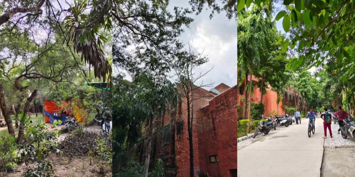 Vivo T3 Pro camera sample