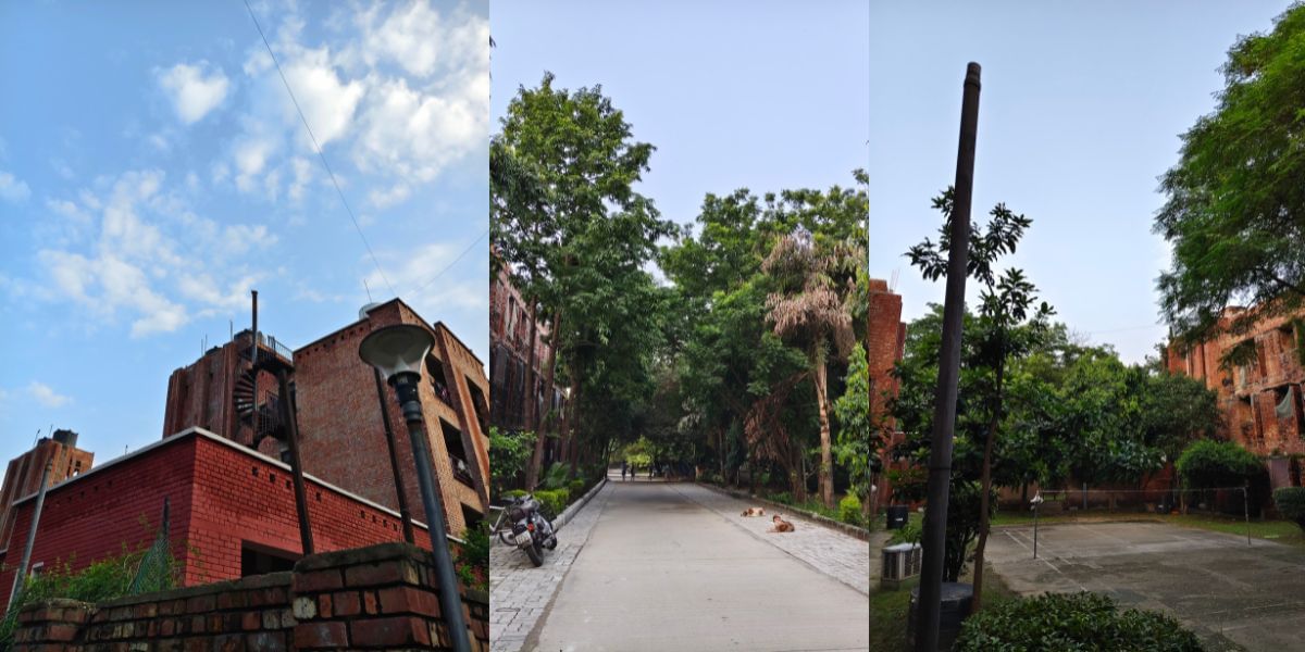 Vivo T3 Pro camera sample