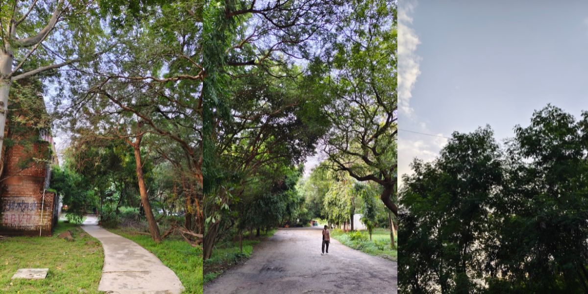 Vivo T3 Pro camera sample