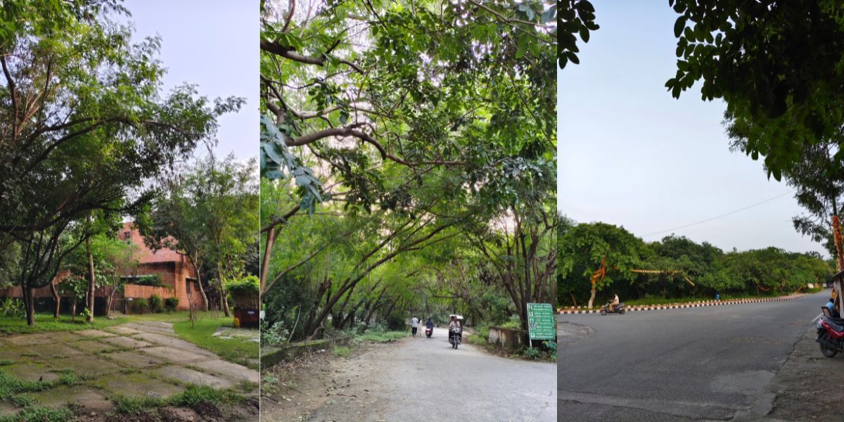 Vivo T3 Pro camera sample