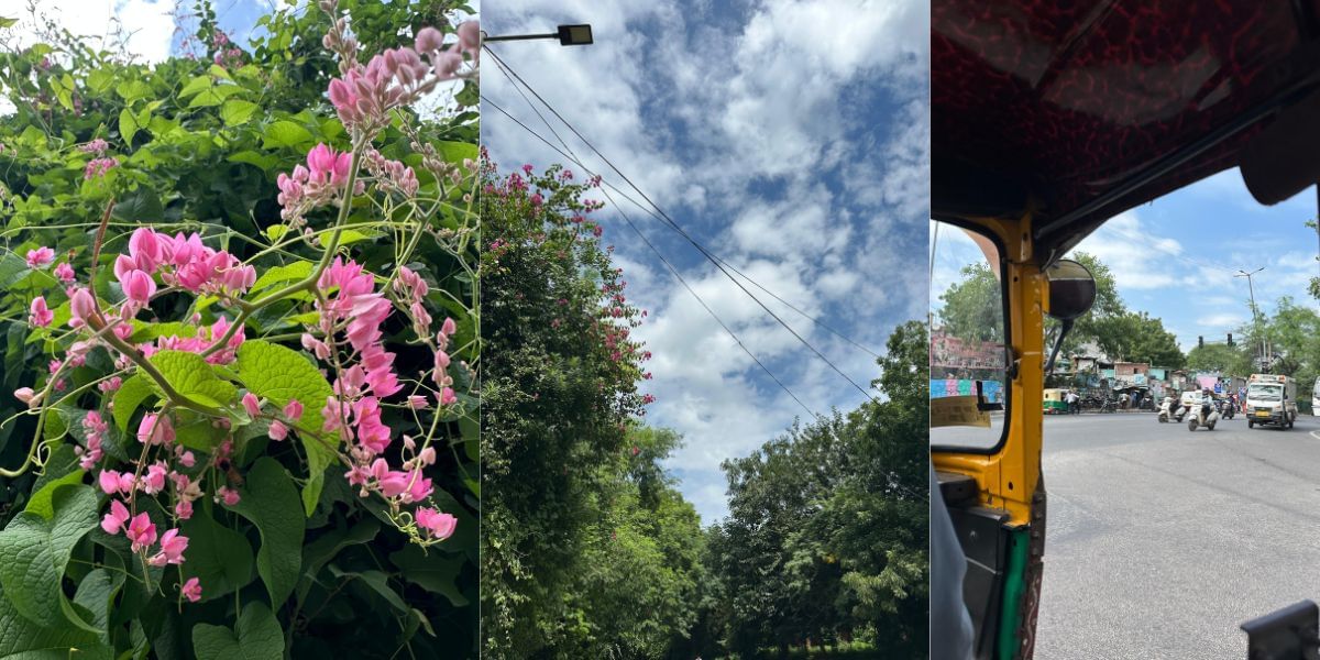 Apple iPhone 14 Pro camera sample