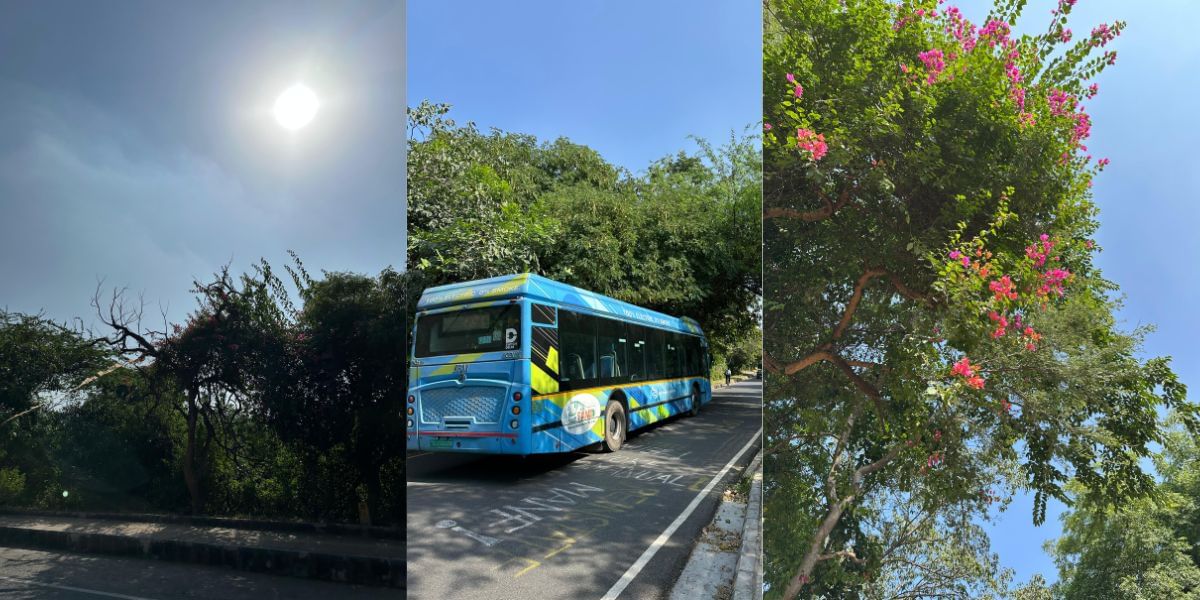 Apple iPhone 14 Pro camera sample