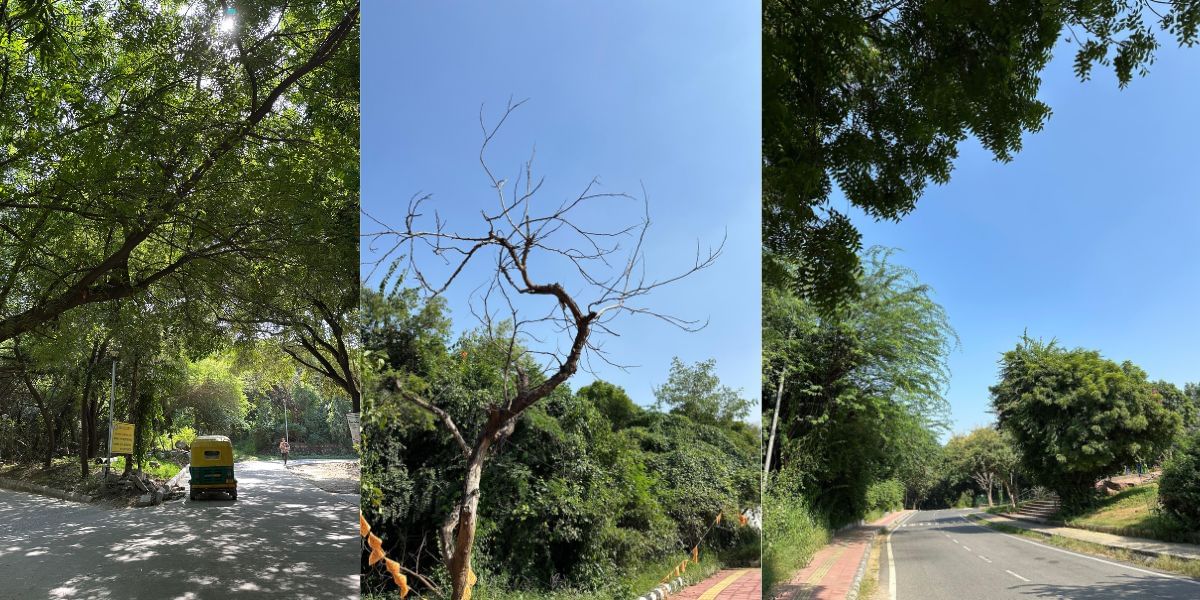 Apple iPhone 14 Pro camera sample