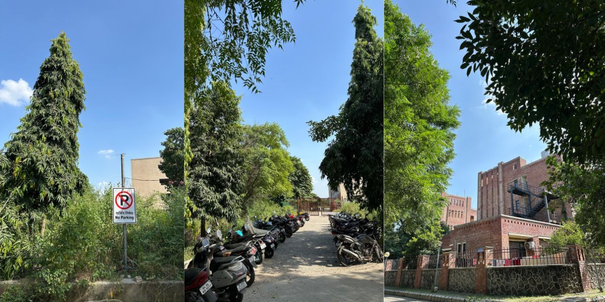 Apple iPhone 14 Pro camera sample
