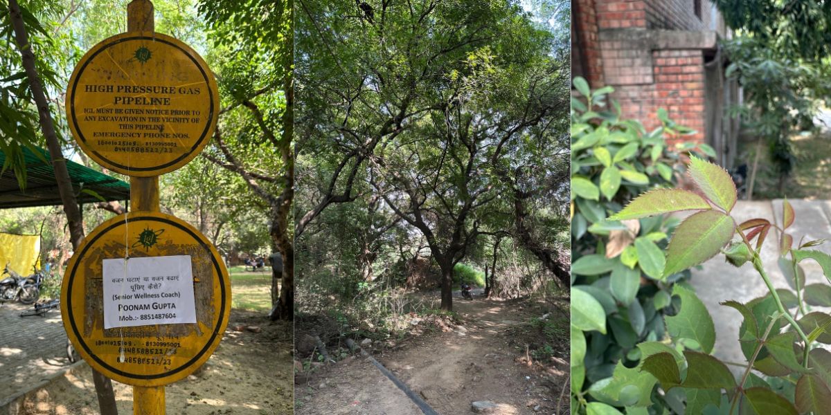 Apple iPhone 14 Pro camera sample
