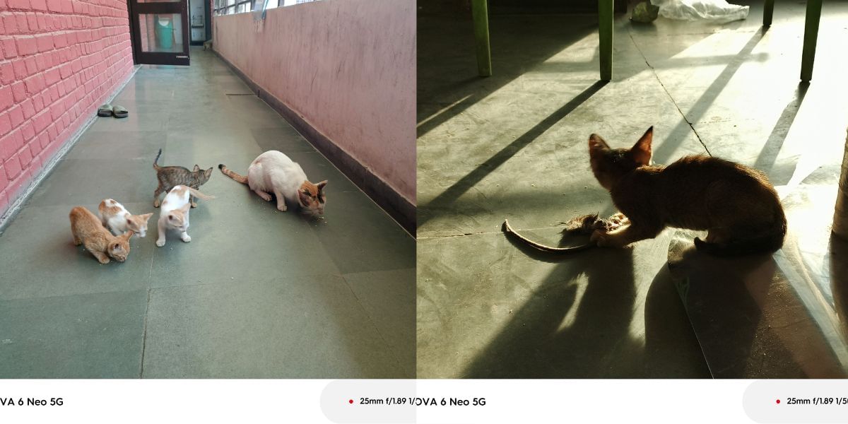 Tecno POVA 6 NEO 5G camera sample