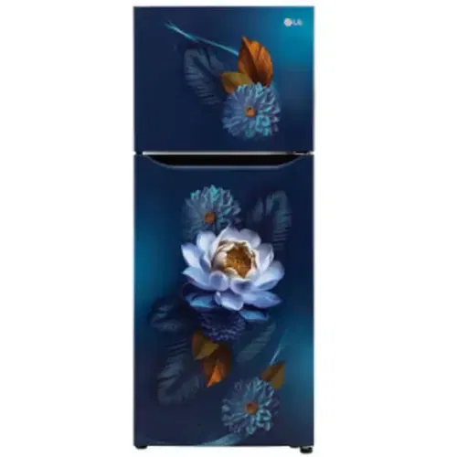 LG GL-S292SBWY 240 Ltr Double Door Front