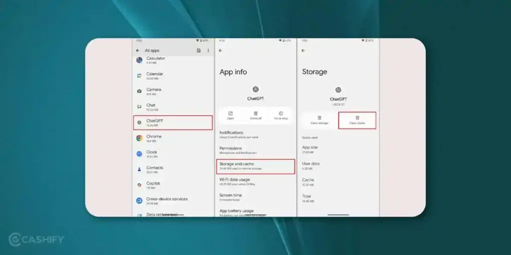 clear app cache and data