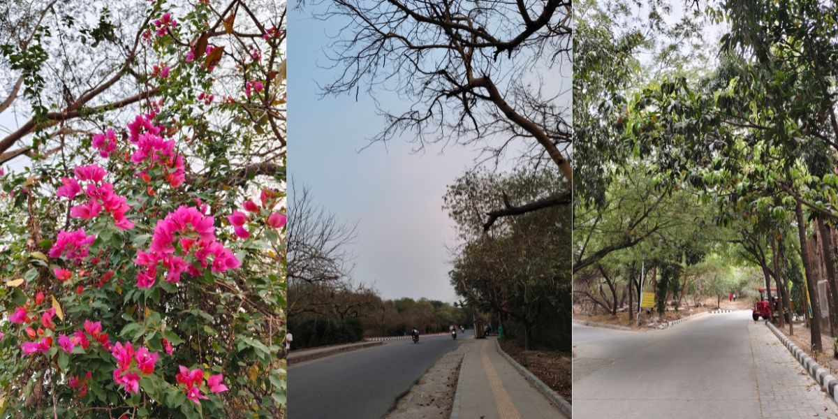 Vivo T4 images sample