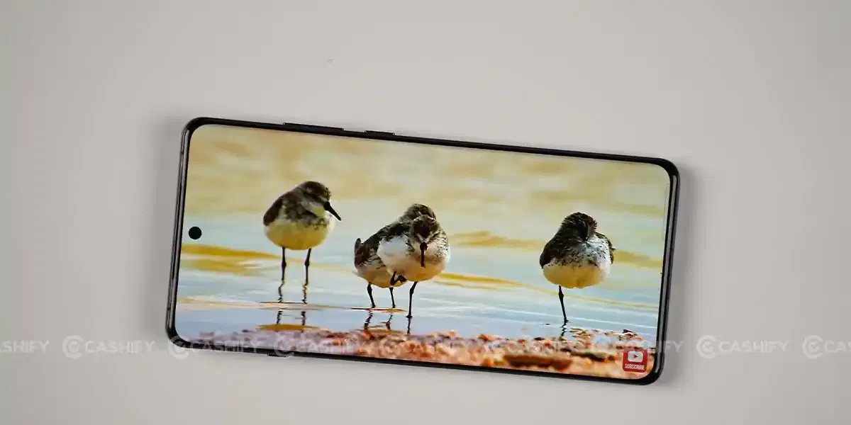 OnePlus 12 display quality