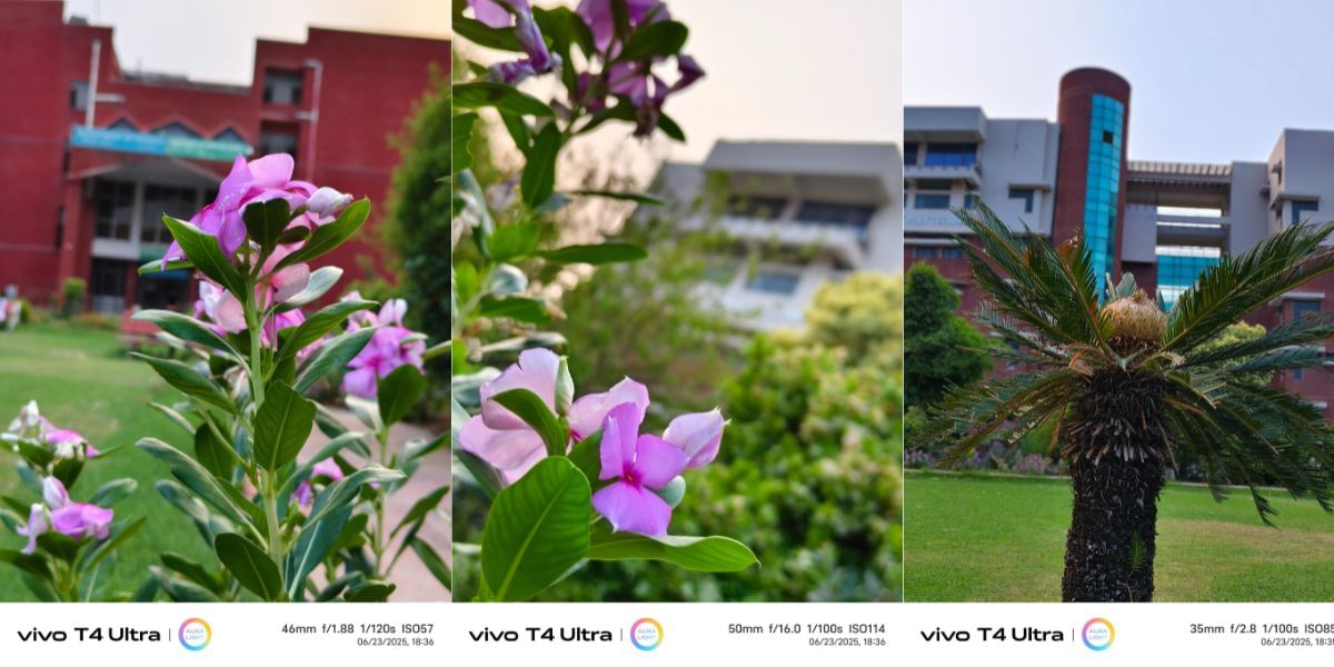 camera sample