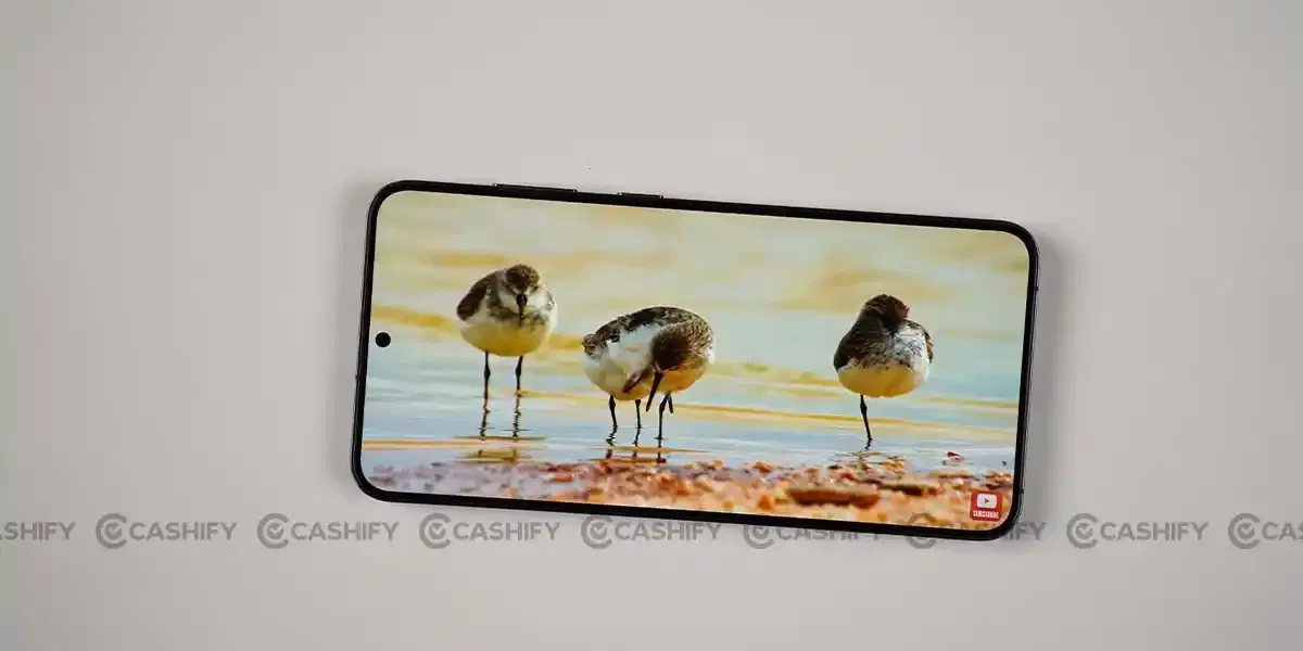 Samsung Galaxy S24 Plus display