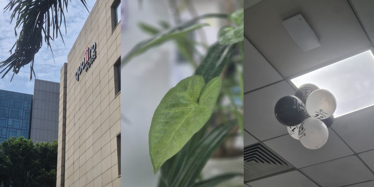 samsung Galaxy S24 Plus camera sample