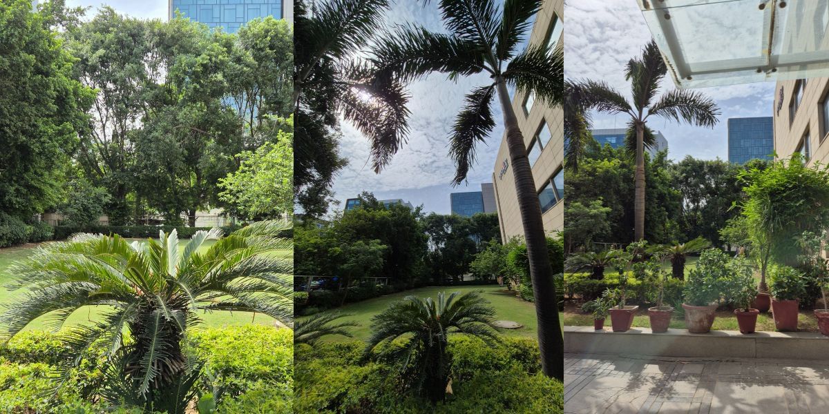 Samsung Galaxy S24 Plus camera sample