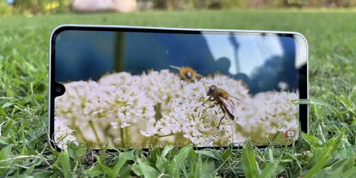 Samsung Galaxy M36 5G videos quality