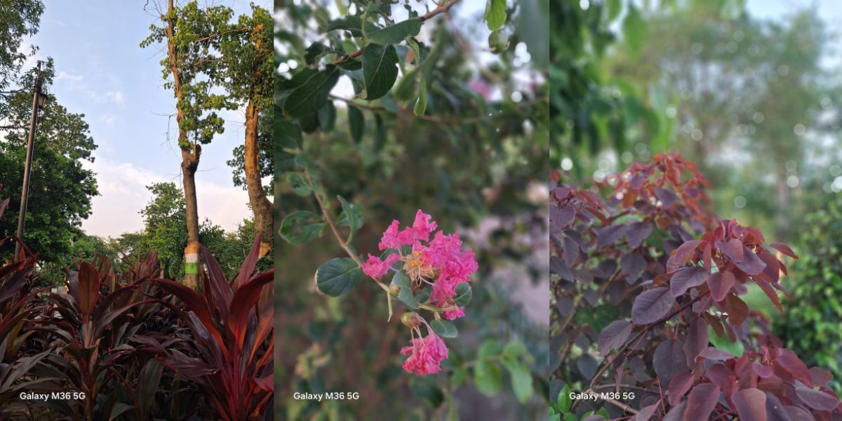 Samsung Galaxy M36 5G camera sample