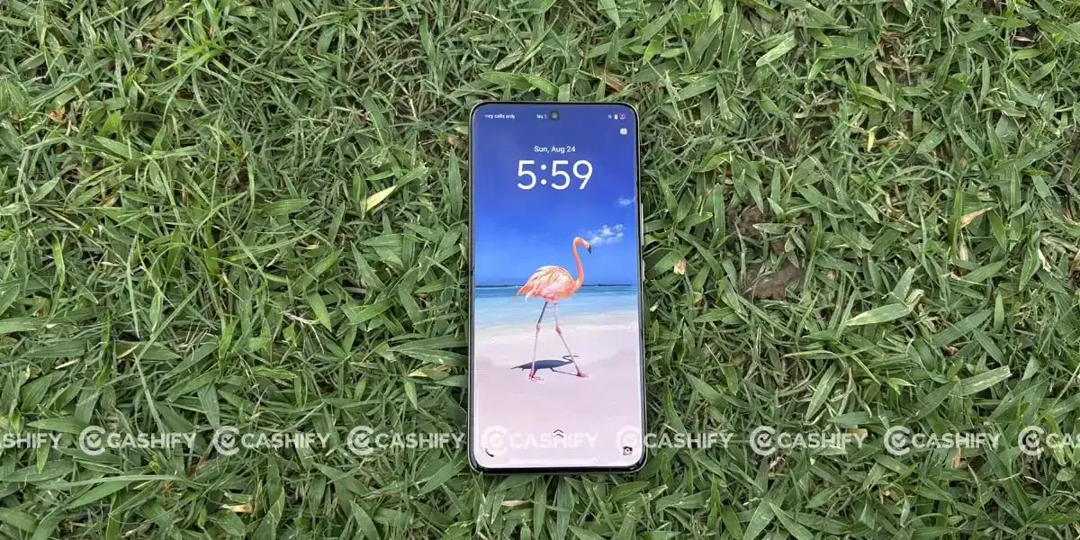 display