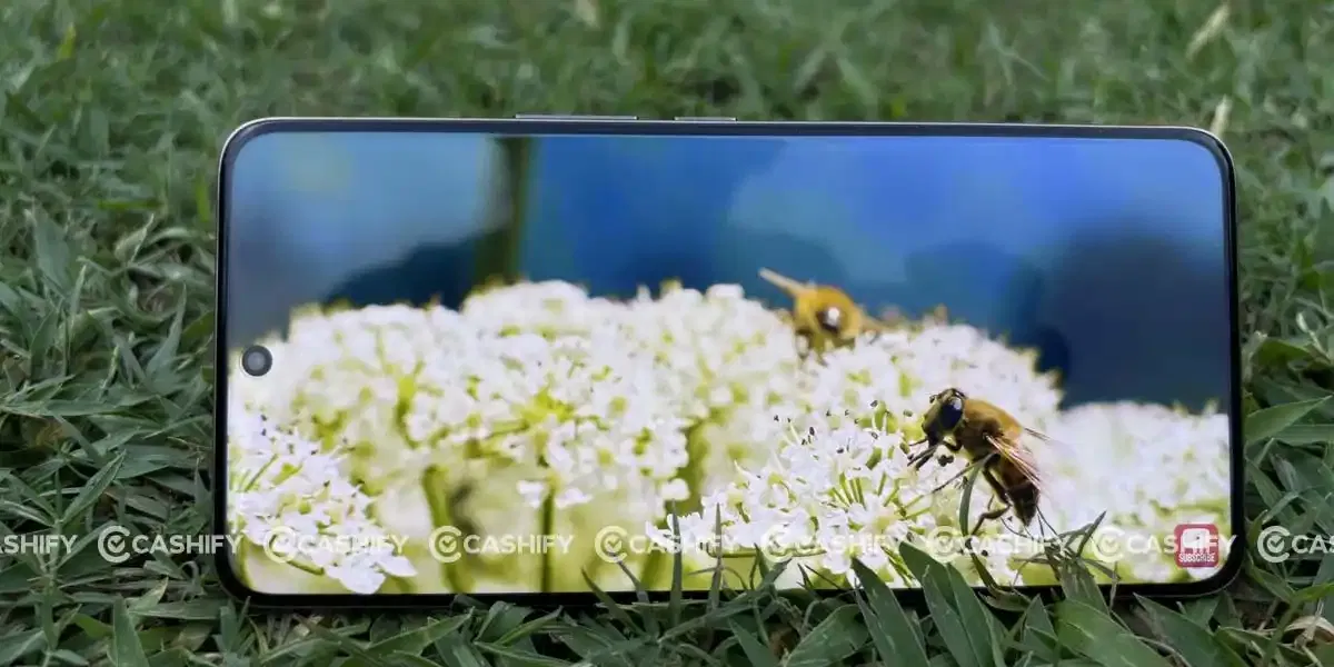 display quality