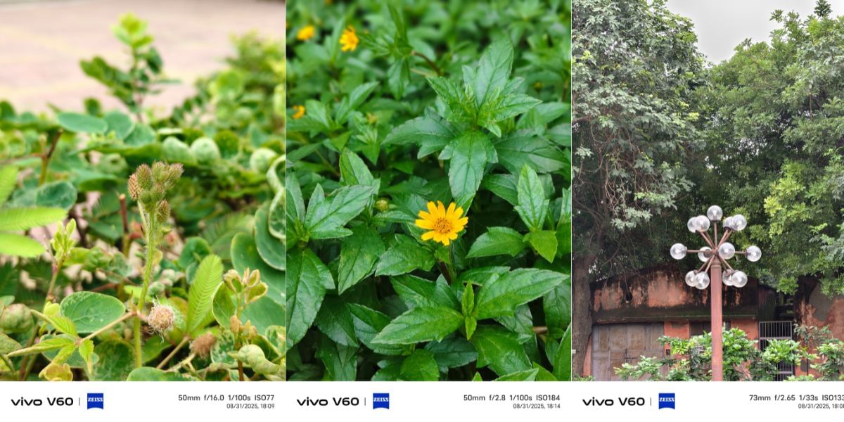image sample