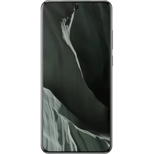 Vivo X300 Pro Satellite Communication Edition Front