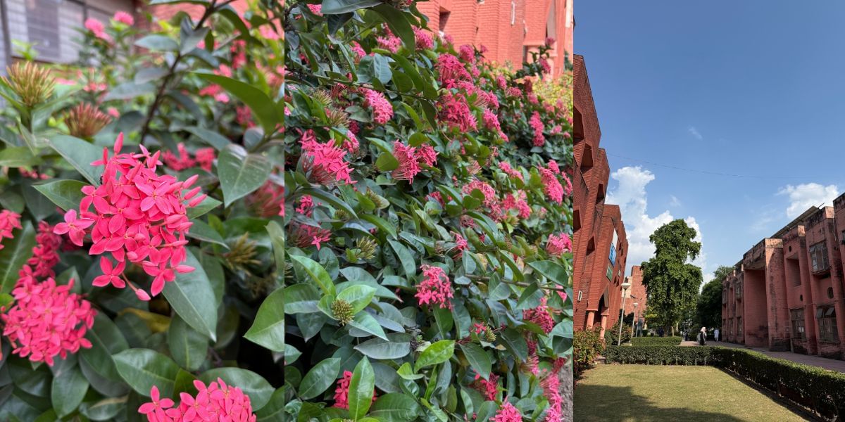 Apple iPhone 16 Pro  image sample