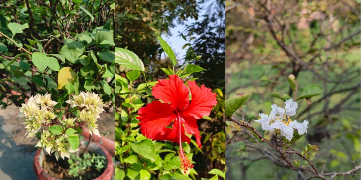 Tecno Pova Slim camera sample