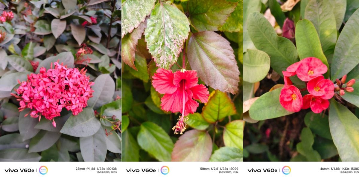 Vivo V60e camera sample