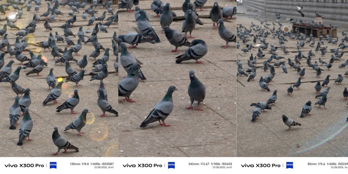 Vivo X300 Pro camera sample