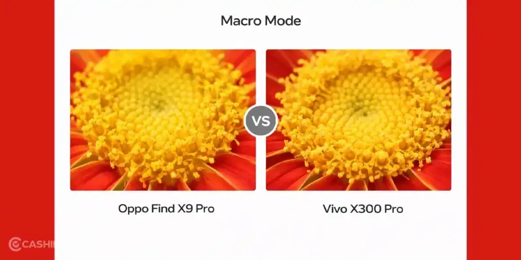 oppo find x9 pro vs vivo x300 pro macro mode