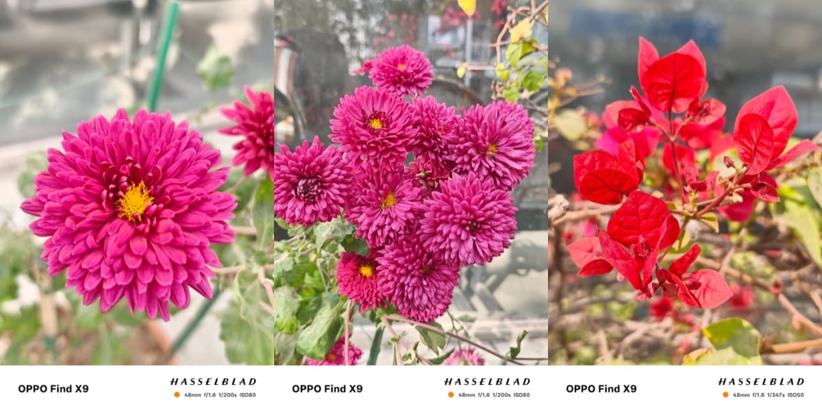 OPPO Find X9 camera sample