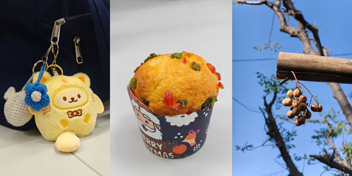 Realme 16 Pro Plus camera sample