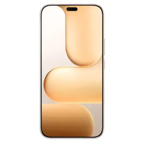 Honor 600 Lite 5G Front