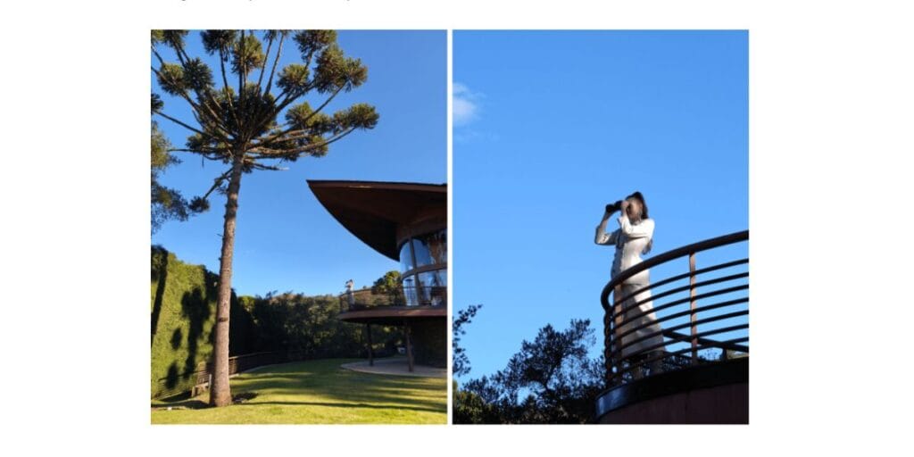 best camera settings for Motorola signature