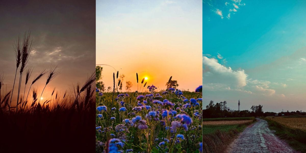 Apple iPhone 15 camera sample