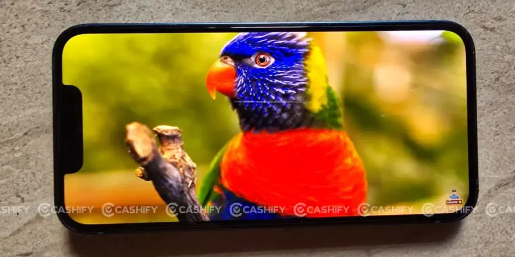 refurbished iphone 13 mini display