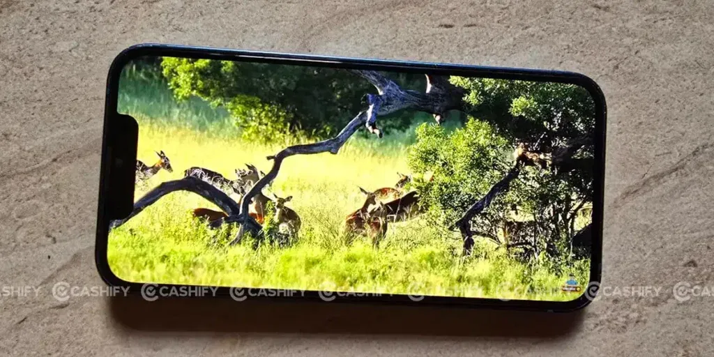 iphone 13 mini display