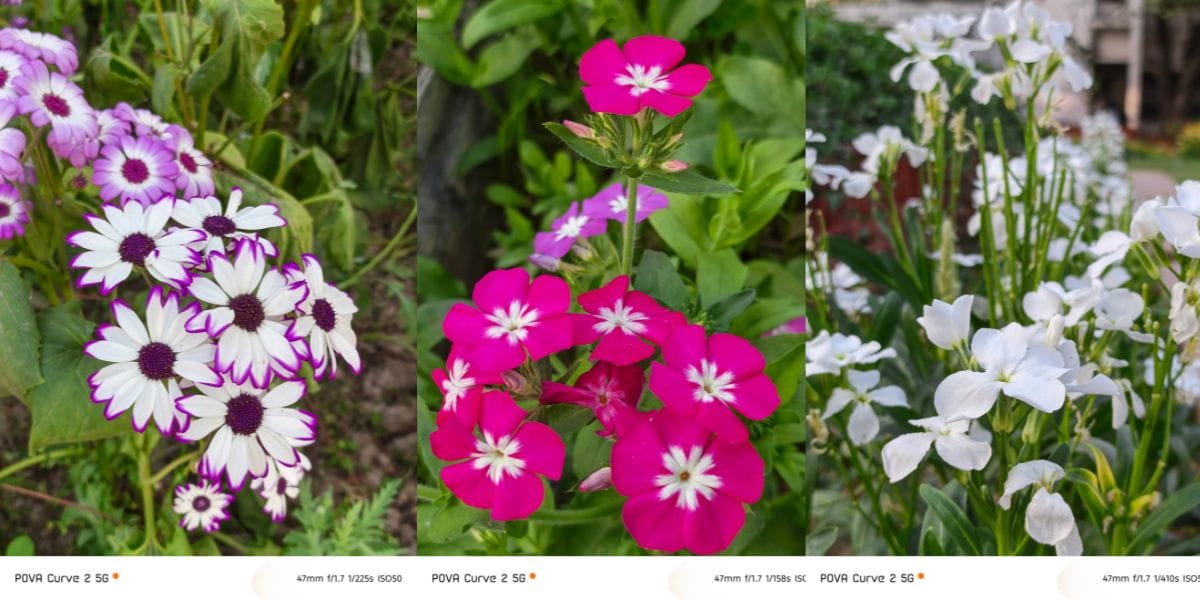 Tecno Pova Curve 2 camera sample